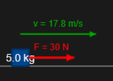 Newtons's First Law Simulation
