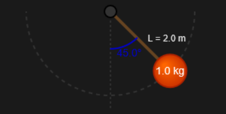 Pendulum Motion Simulation